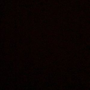 Meet your Posher, Monique